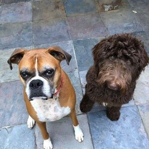 Meet your Posher, Beth